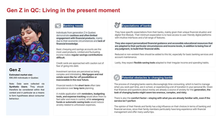An audience report created by our CX, Data and Intelligence team using information generated by Synthetic Users