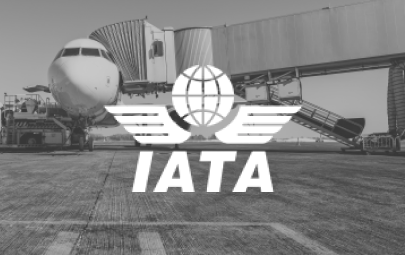 IATA_CASESTUDY
