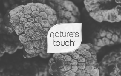 Natures touch_CASESTUDY